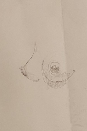 Pencil sketch from the teacher of a woman's breast with
shadows